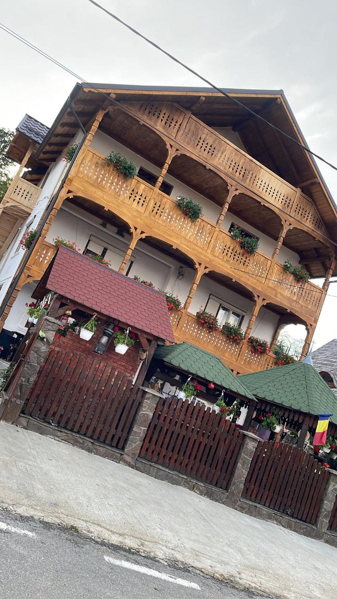 Hotel Casa Ionela Petreus à Poienile Izei Extérieur photo